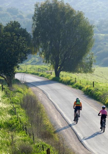 Due ciclisti pedalano su una strada di campagna soleggiata.