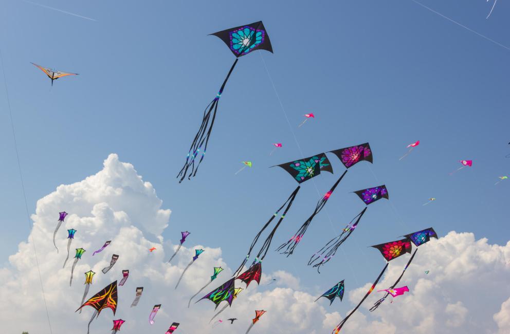 hotellevante.unionhotels en offer-for-the-kite-festival-by-beach-hotel-in-pinarella-di-cervia 005